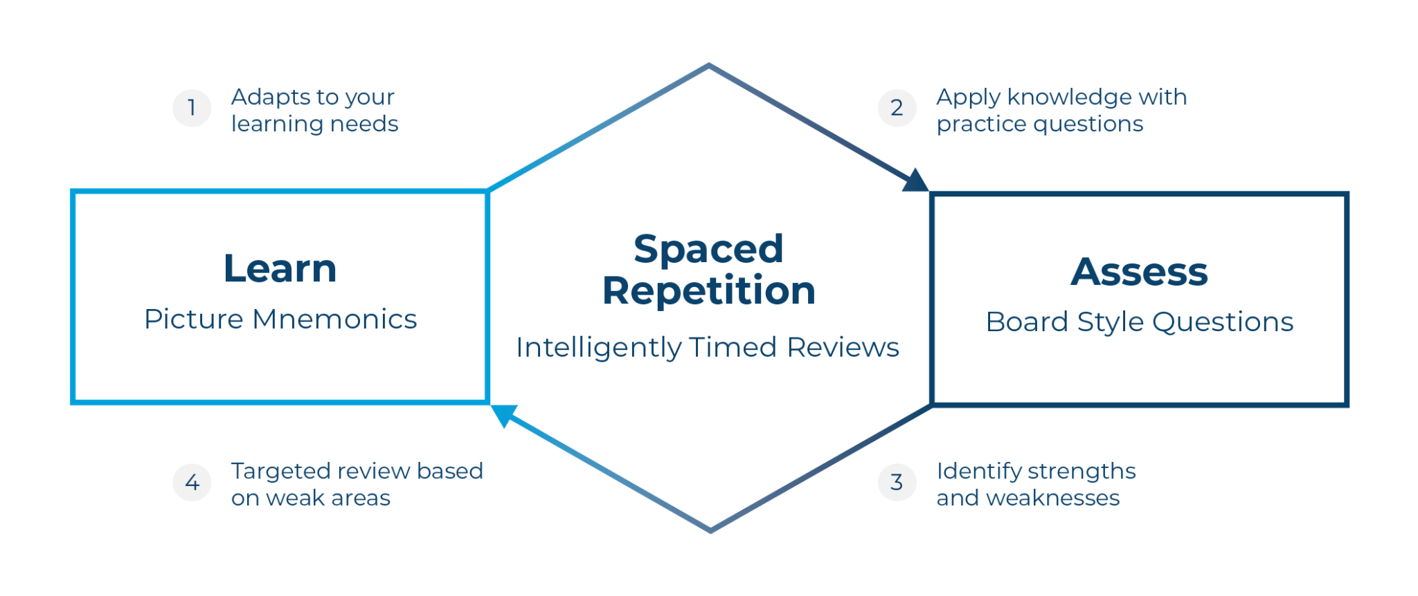 Learning Loops Are One of the Best Ways to Study for Boards