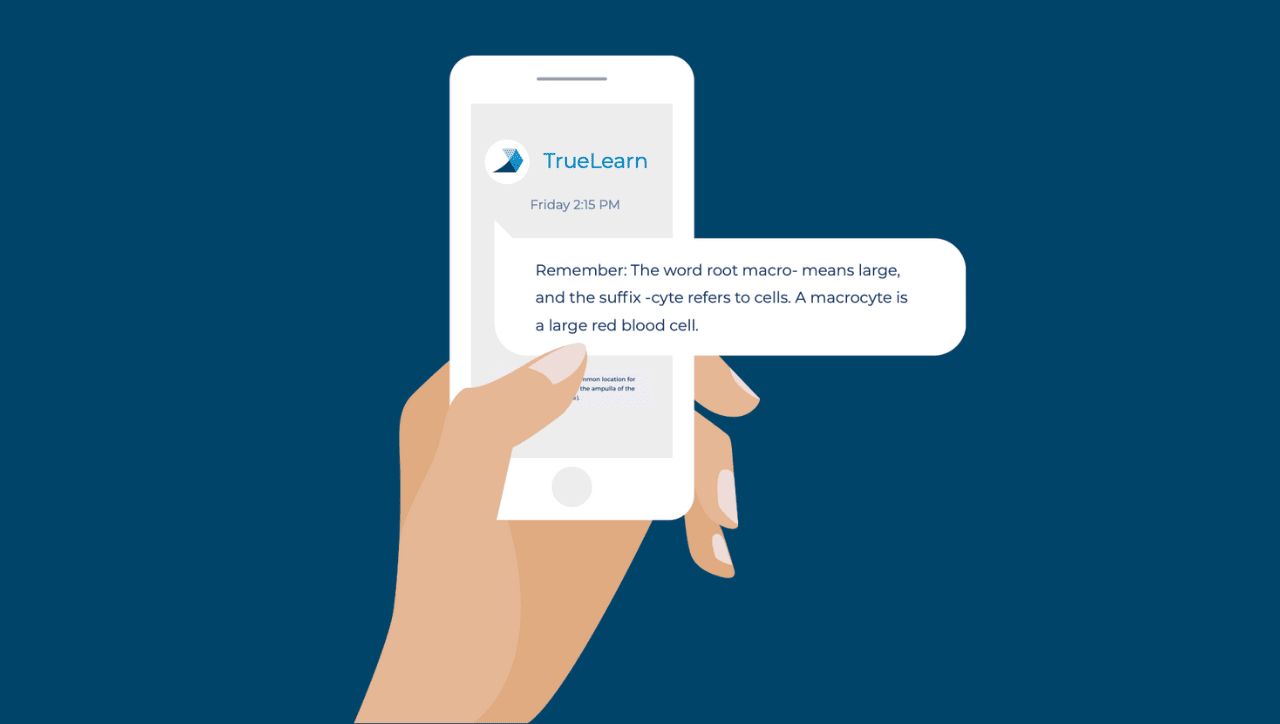hand holding phone with truelearn smarttext