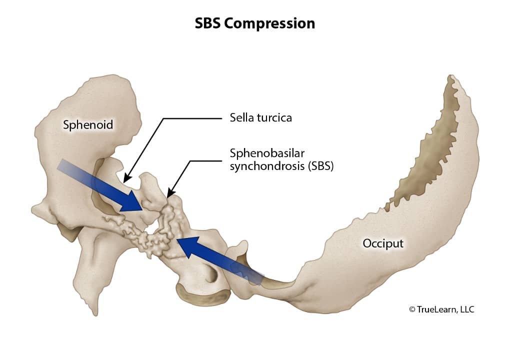 SBS compression diagram