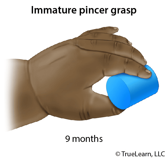 example of an immature pincer grasp